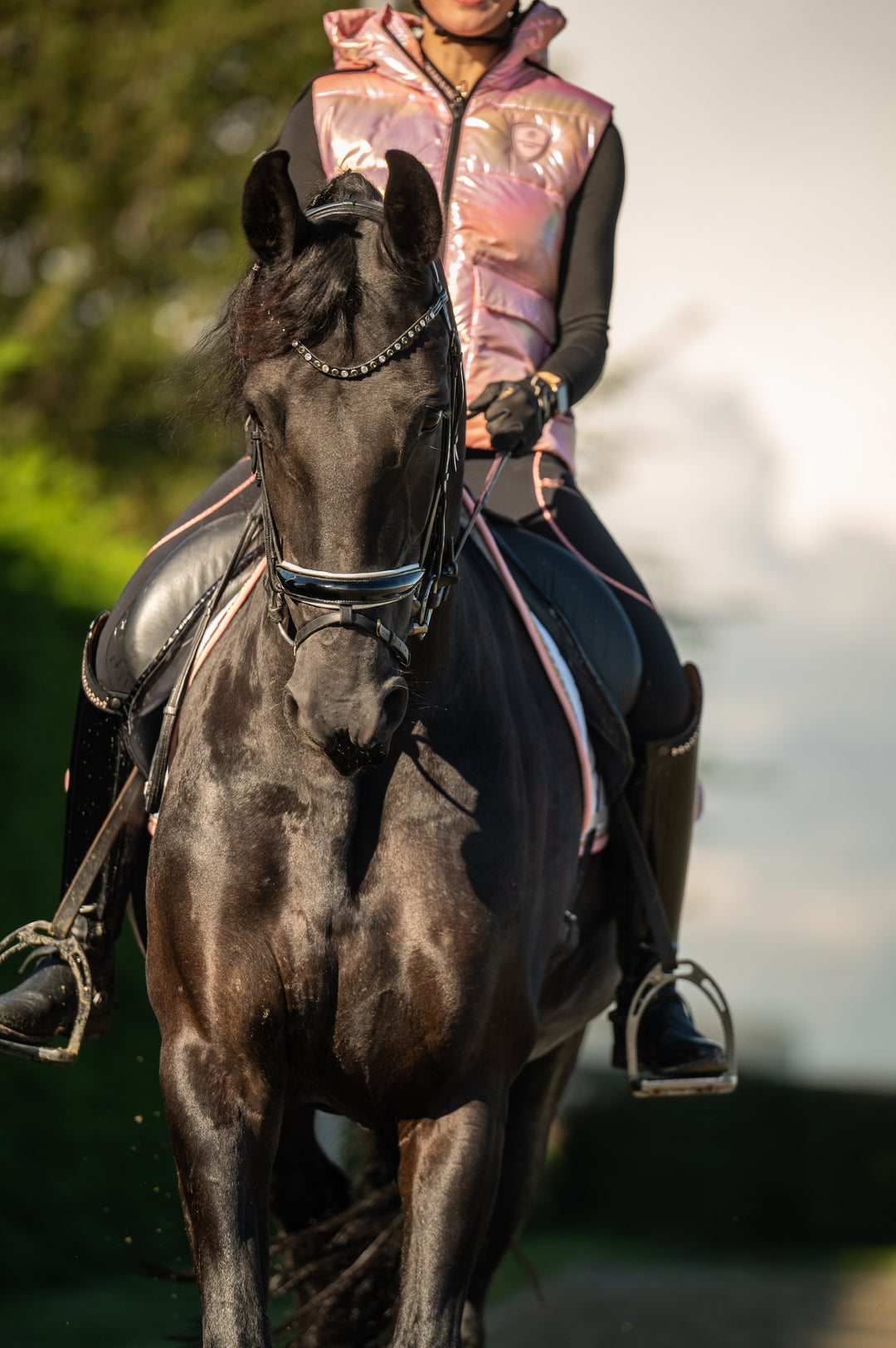 HoH To The Stars Riding FullGrip Leggings Black