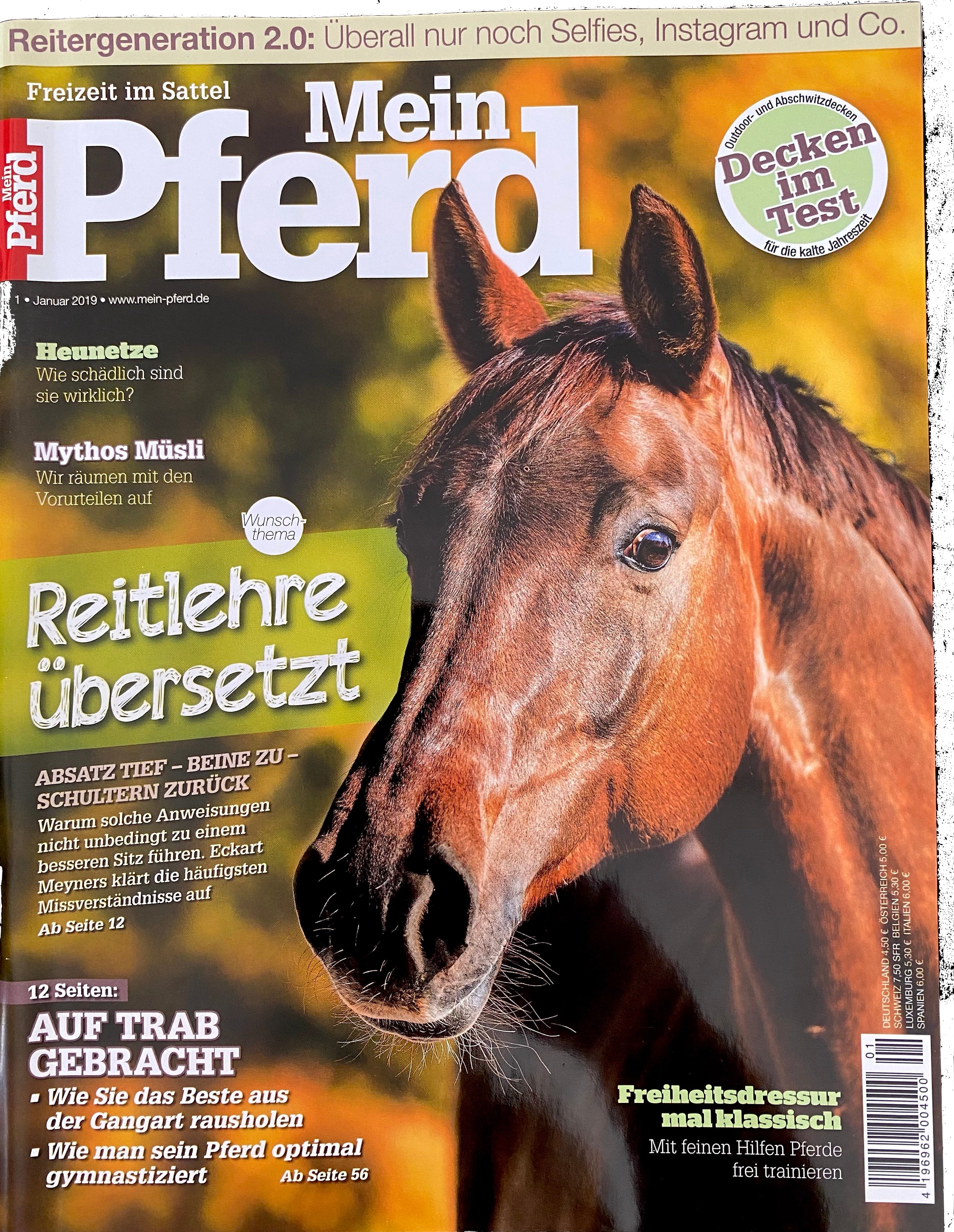 Mein Pferd 1/2019