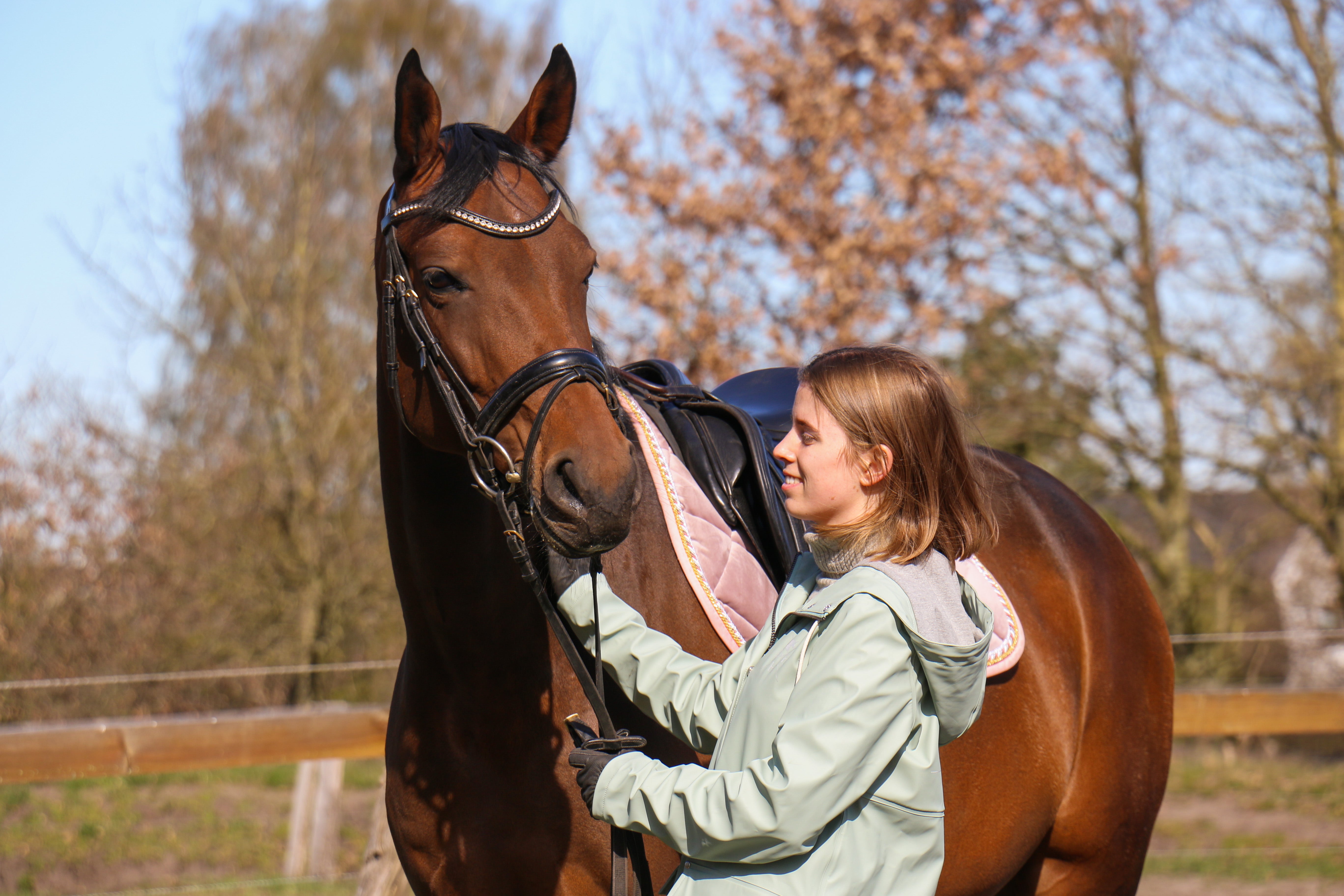 Things Horse Riders do in Spring