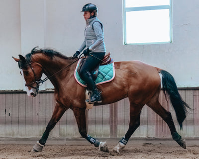 Exercise Ideas and Tips For A Horse That Feels Heavy On The Forehand