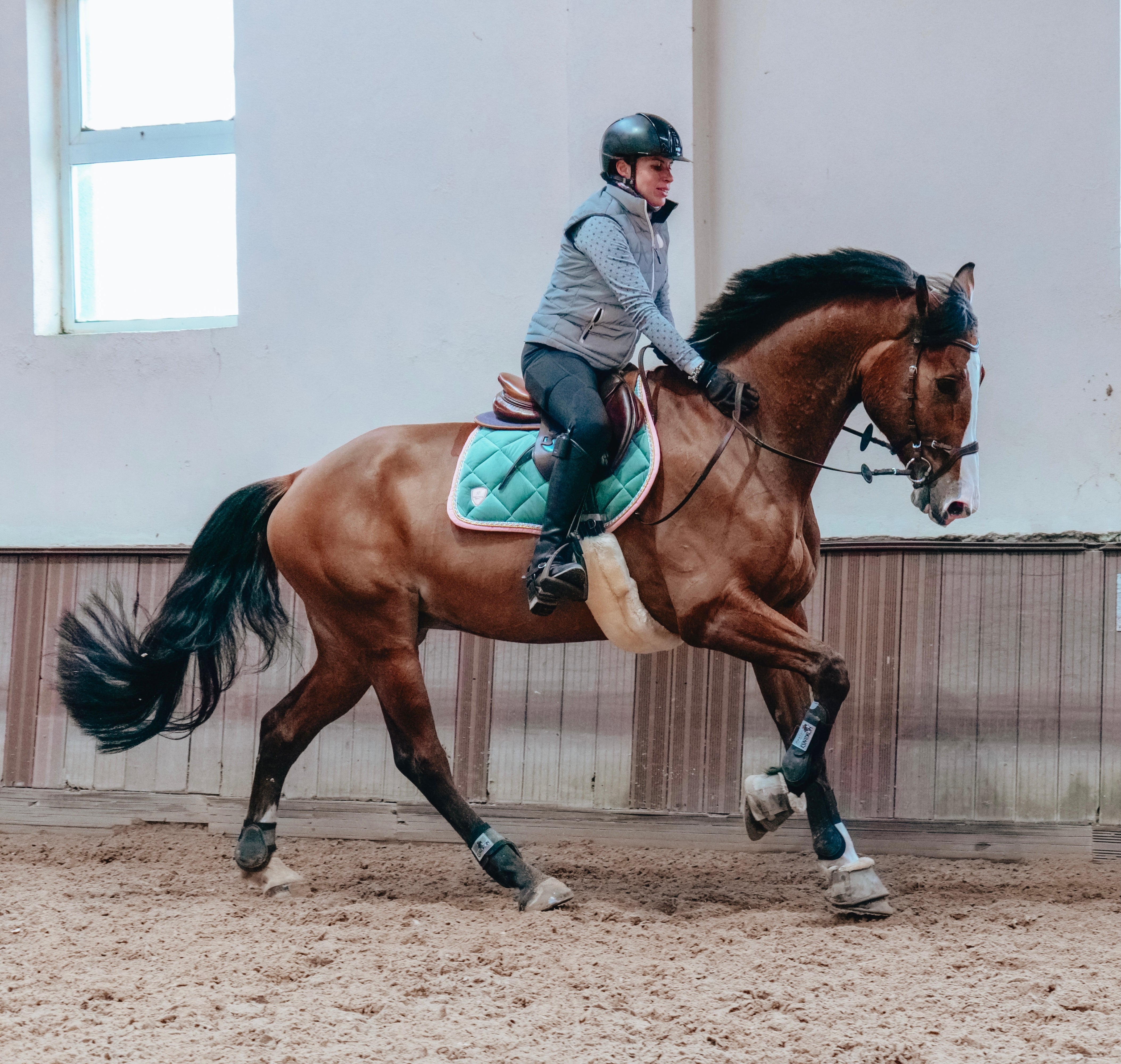 Answering The Big Question “How Do I Get My Horse On the Bit?”