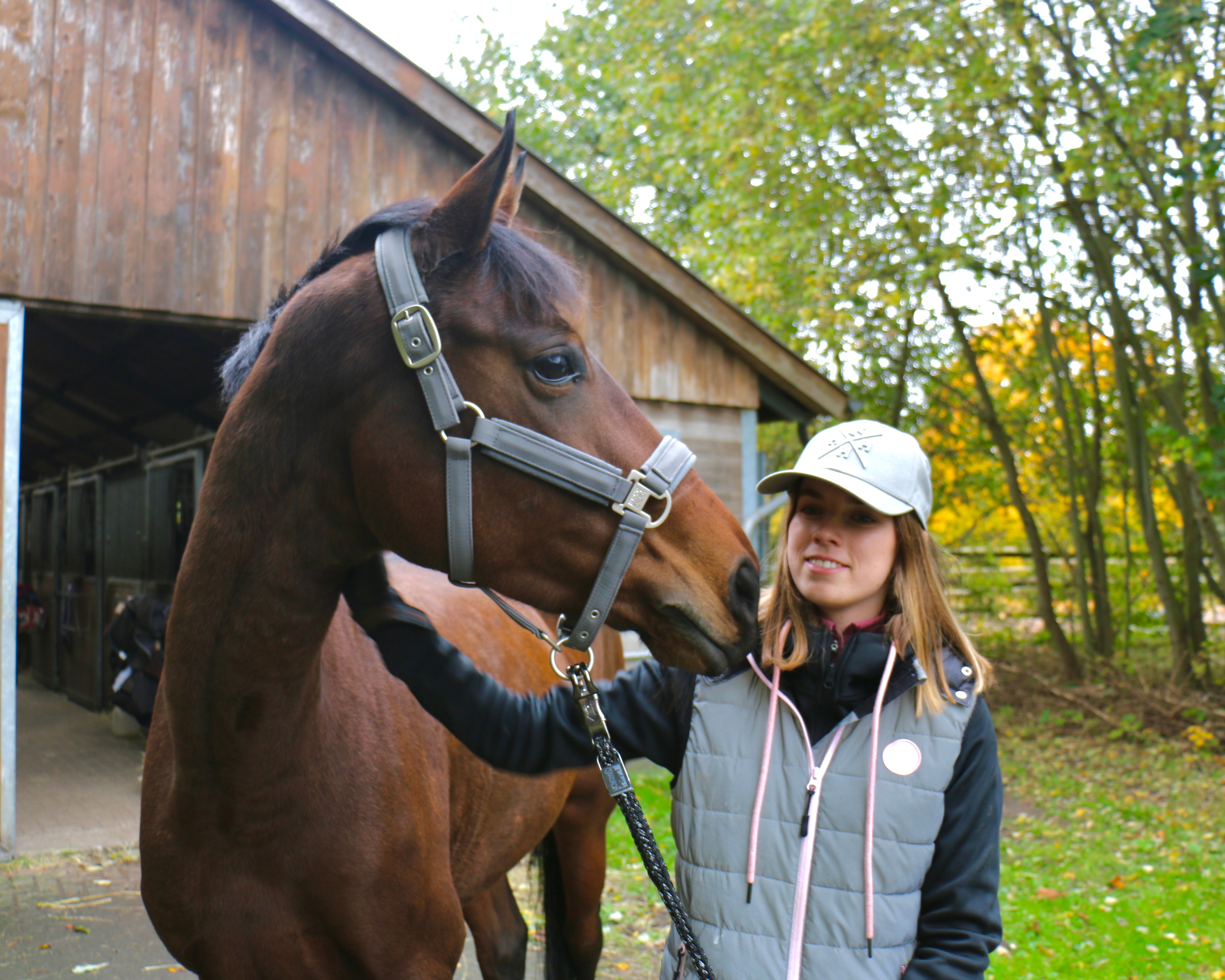 My Journey to Finding a new Four-Legged Friend- Part 1/2