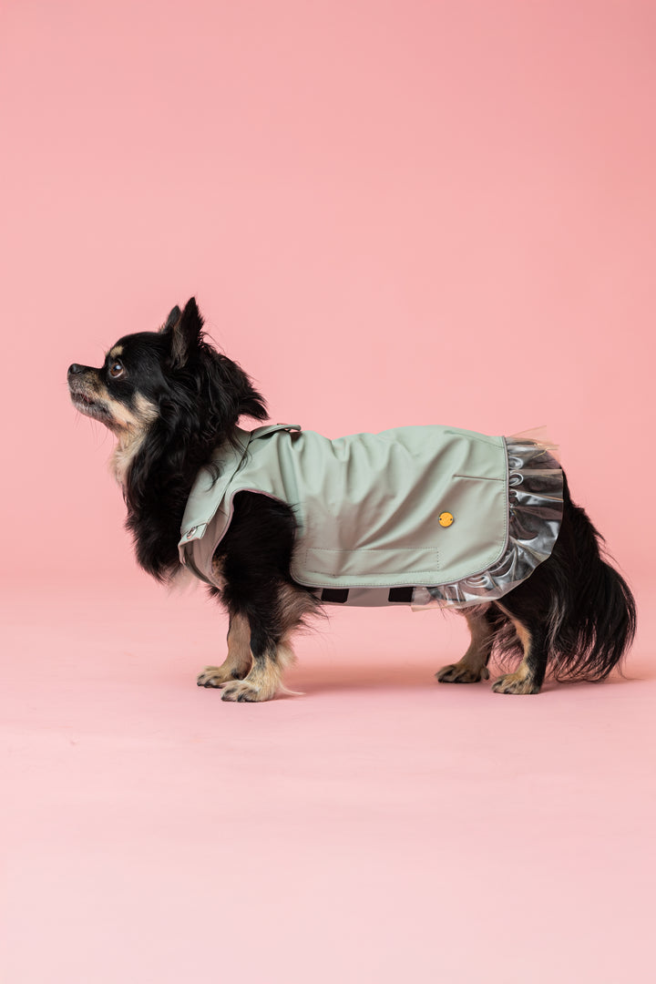 Rain a Little for Dogs Mint