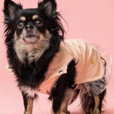 Rain a Little for Dogs