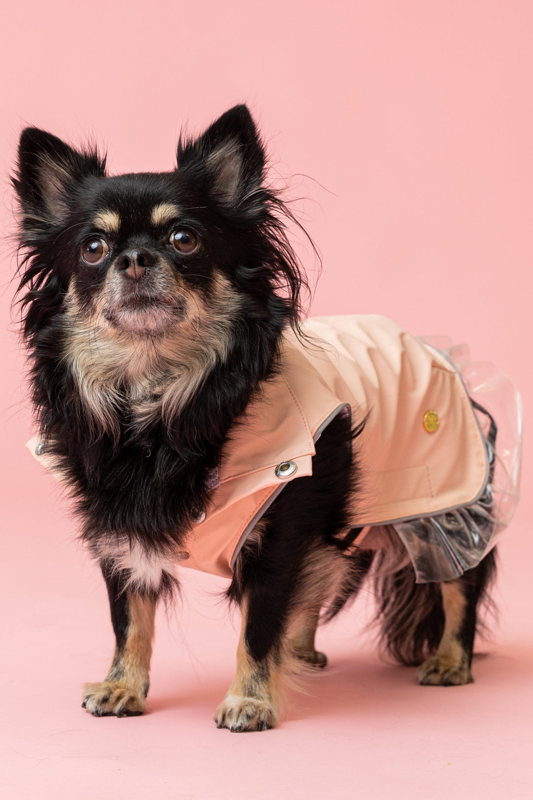 Rain a Little for Dogs Pink