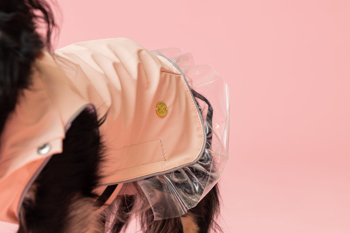 Rain a Little for Dogs Pink