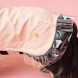 Rain a Little for Dogs