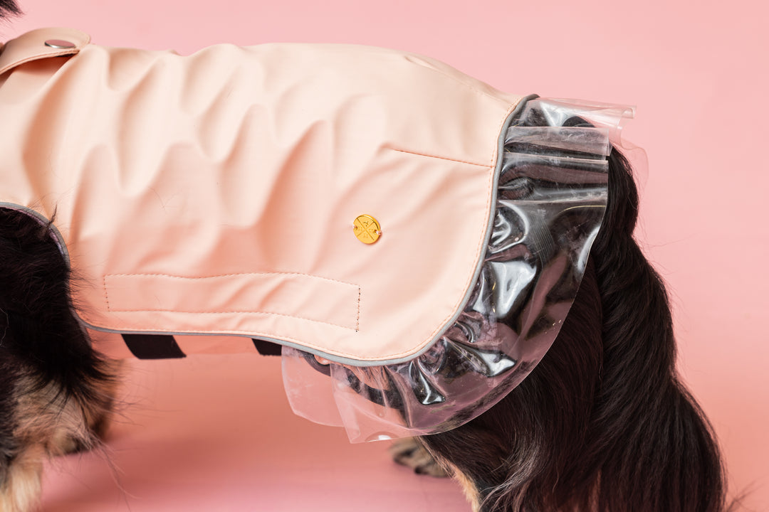 Rain a Little for Dogs Pink