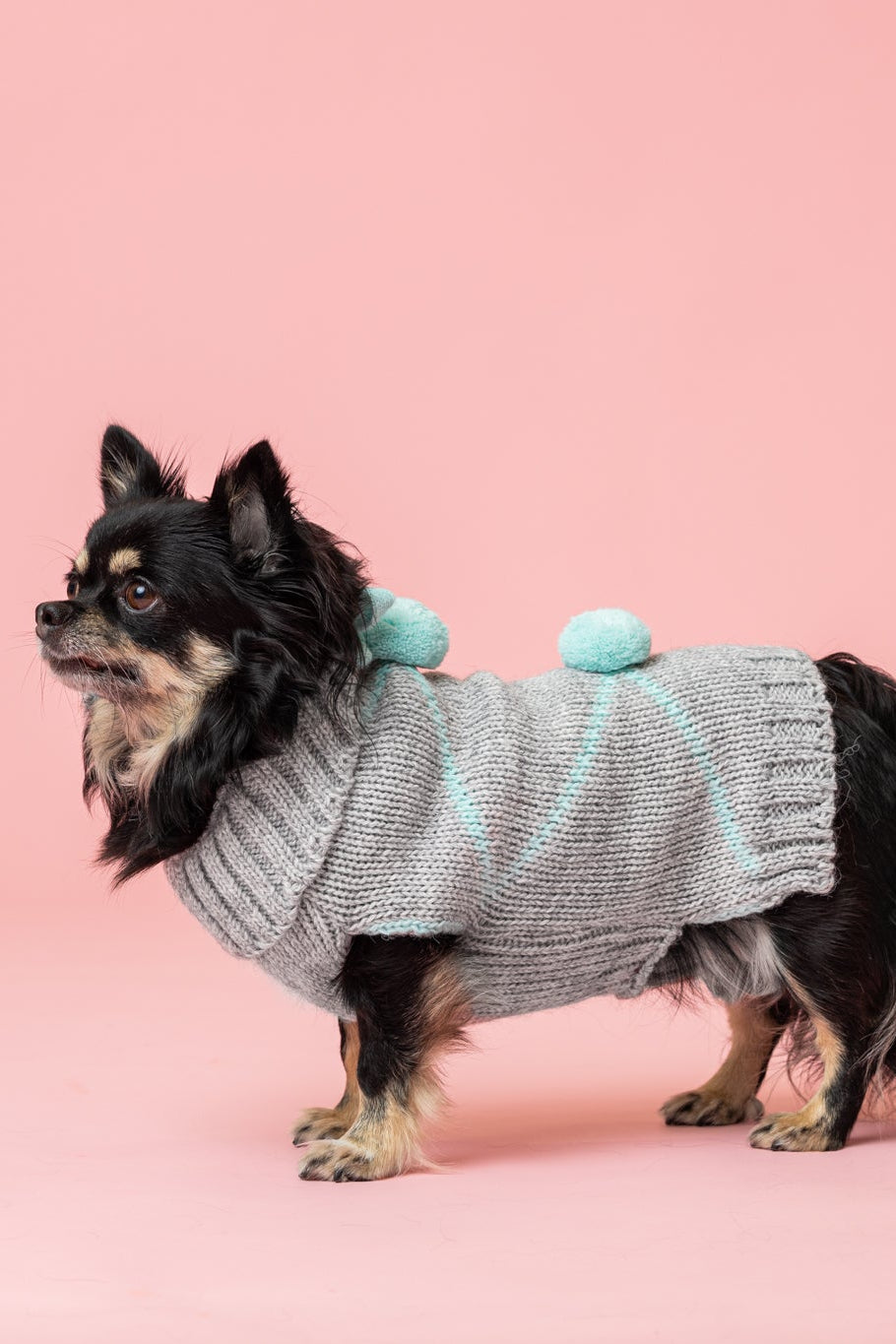 PomPom Pullover Mint