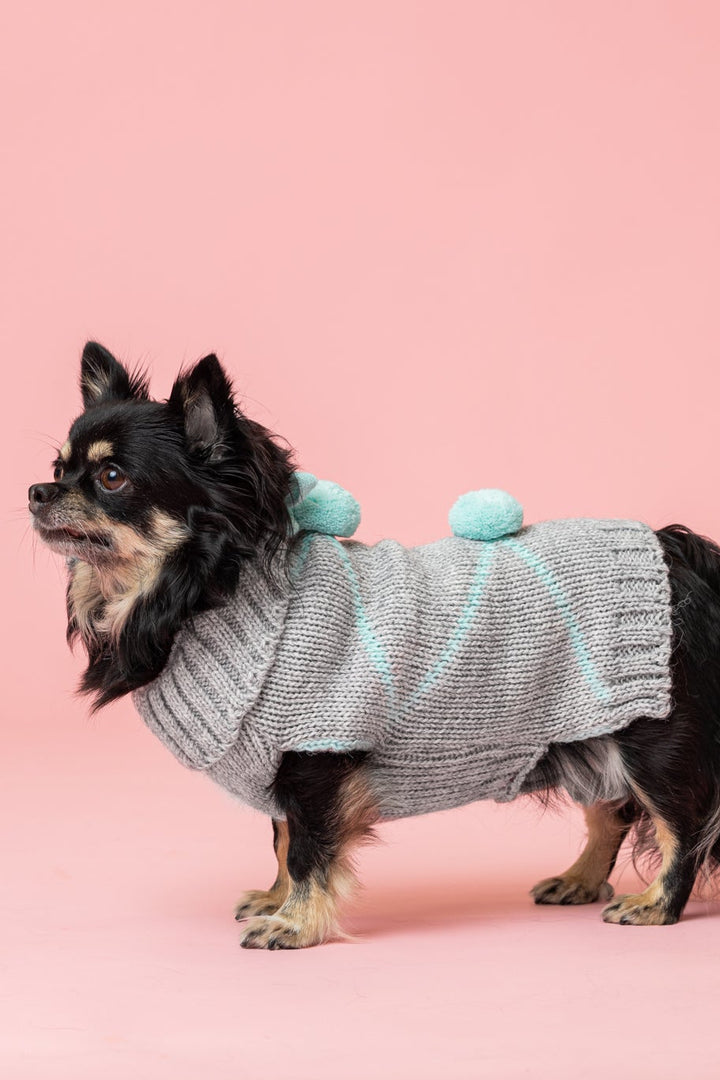 PomPom Pullover Mint