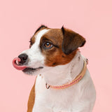 Dolly Blush Pink Kaulapanta