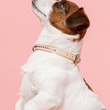 Dolly Blush Pink Kaulapanta