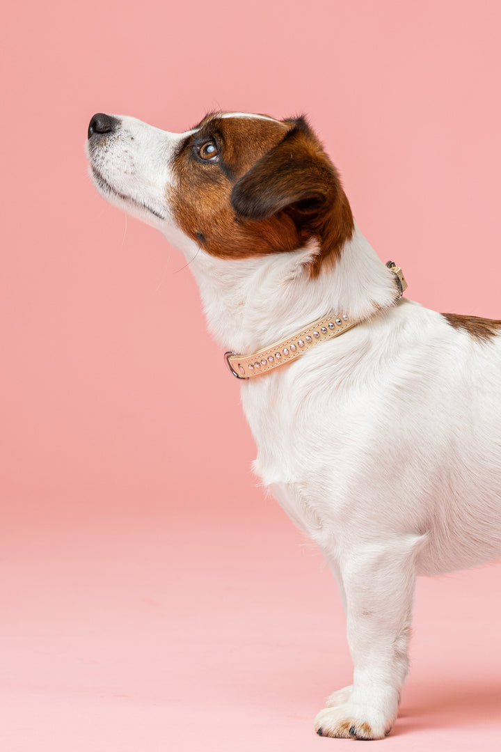 Alba Aurora Borealis Collar