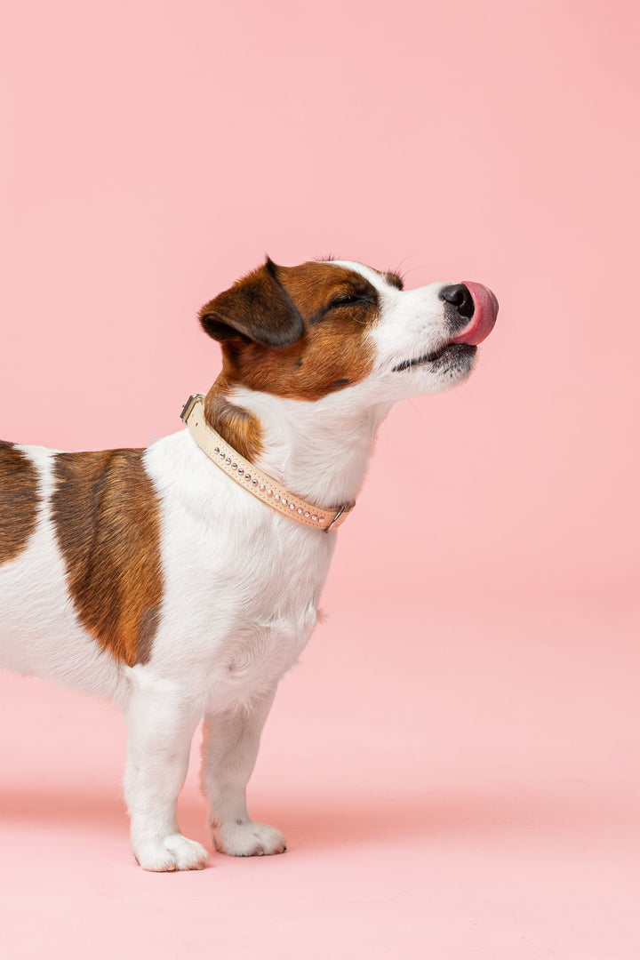 Alba Aurora Borealis Collar