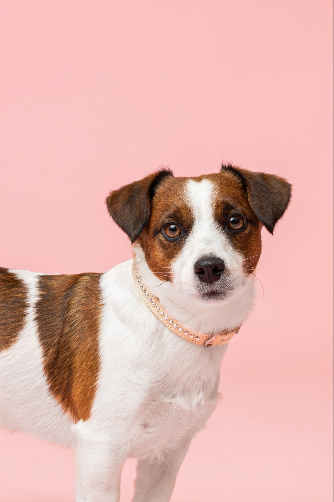 Alba Aurora Borealis Collar