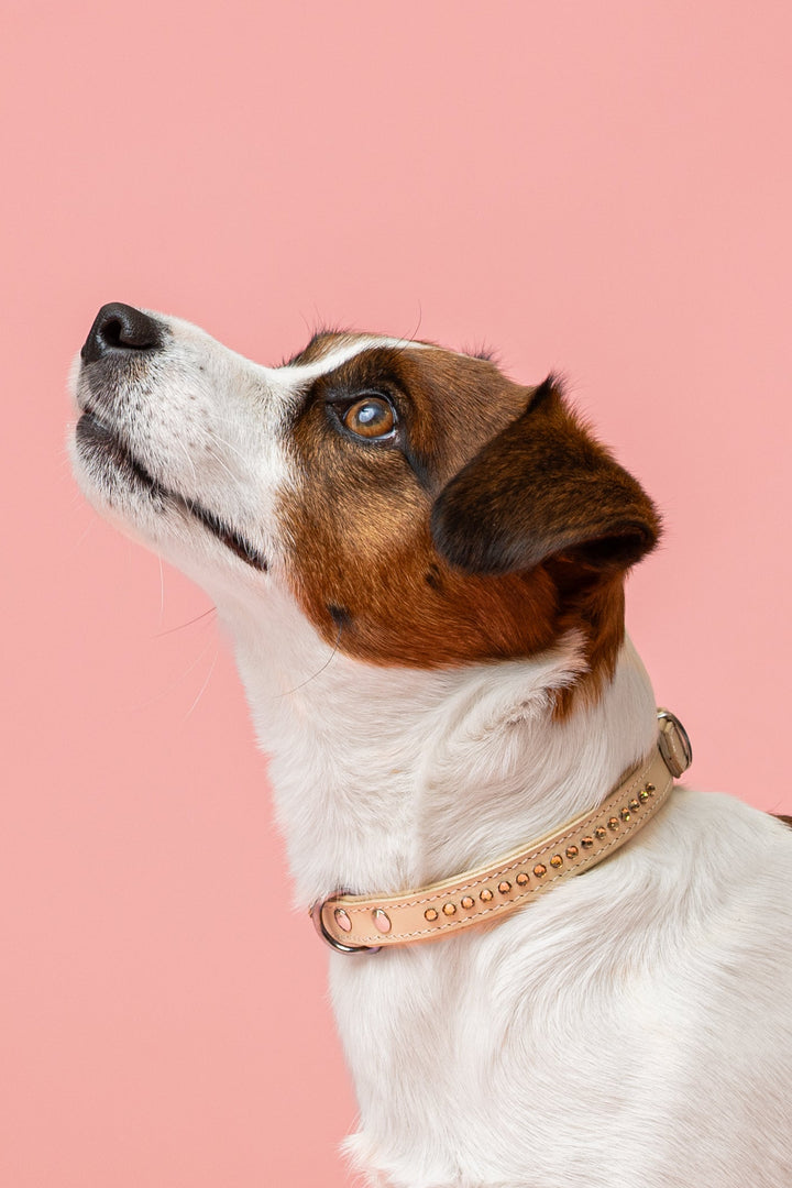 Max Golden Topaz Collar