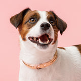 Max Golden Topaz kaulapanta 