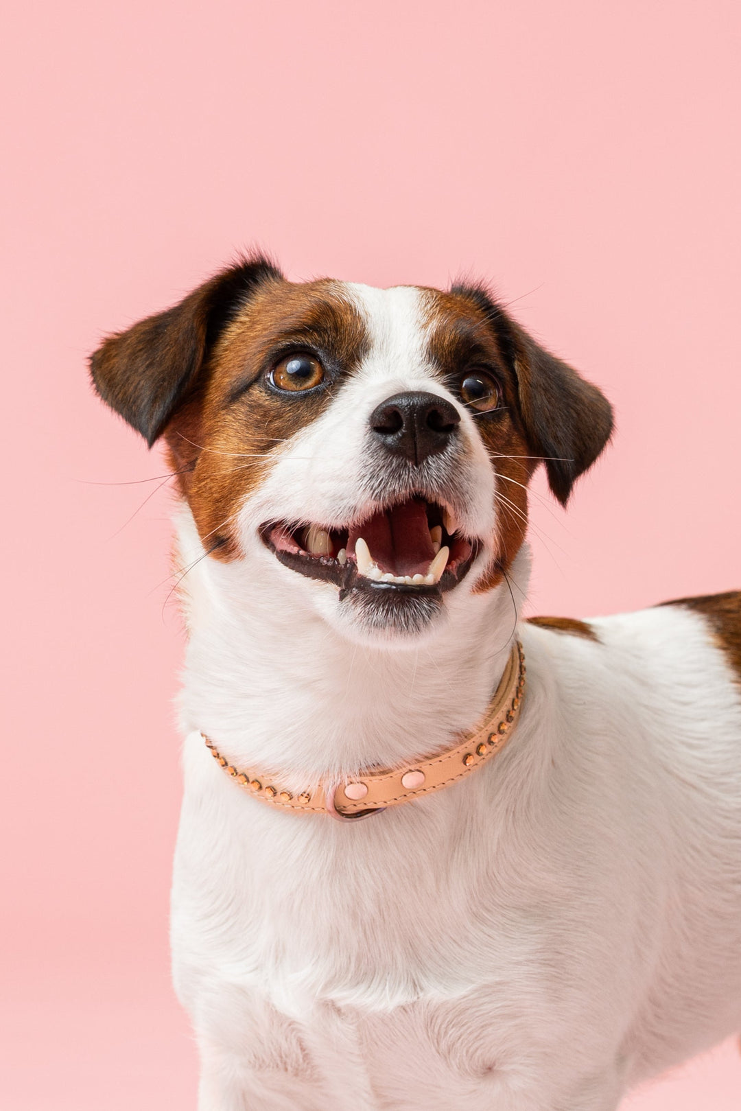 Max Golden Topaz Collar