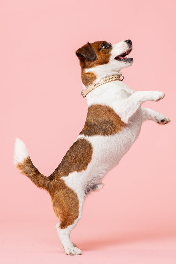 Max Golden Topaz Collar