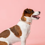 Cooper Ocean Blue Kaulapanta