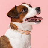 Cooper Ocean Blue Kaulapanta