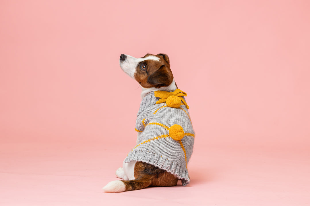 PomPom Pullover Yellow