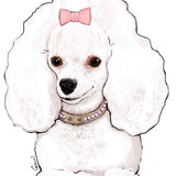 Dolly Blush Pink Kaulapanta