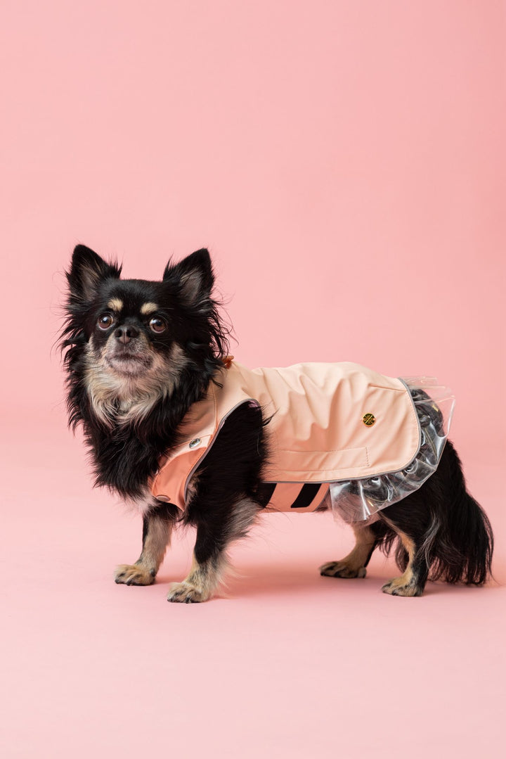 Rain a Little for Dogs Pink