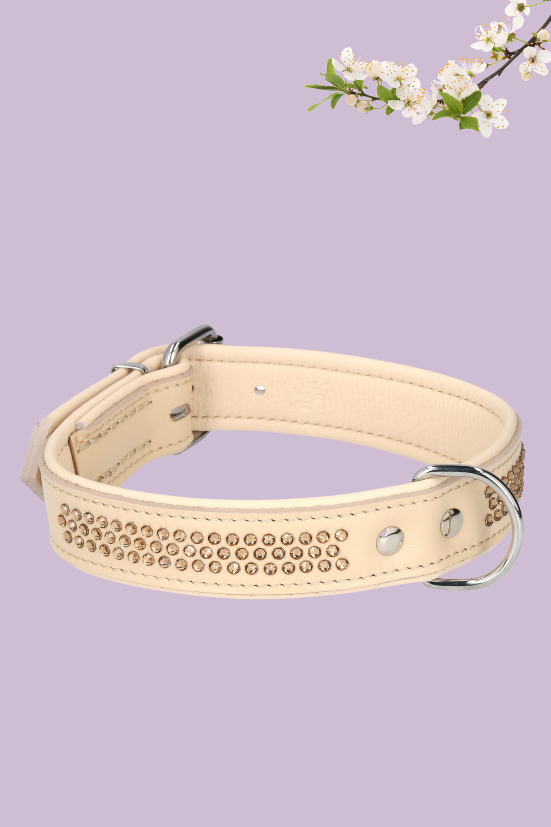 Max Golden Topaz Collar for Bigger Dogs